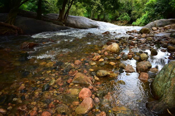 istock Kottakudi River at Kurangani Hills in Tamilnadu 1224022518