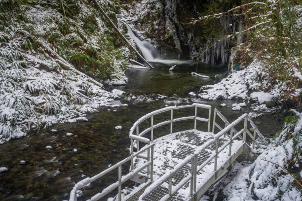 istock Goldstream Provincial Park waterfall in Victoria BC 1224023270