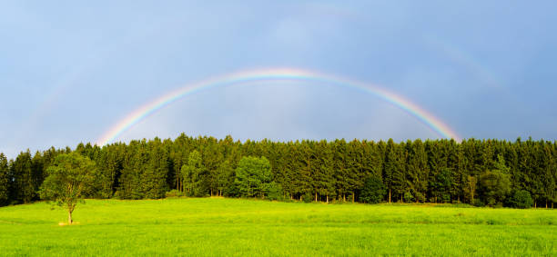 istock Rainbow over rural landscap in  the  summer, Germany 1224023627