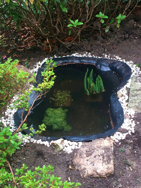 Raised garden pond in a garden