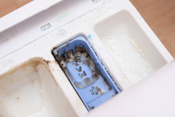 istock Dirty moldy washing machine detergent and fabric conditioner dispenser drawer compartment close up. Mold, rust and limescale in washing machine tray. Home appliances periodic maintenance concept 1224025141