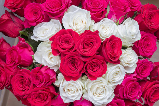 istock Multi-colored bouquet of red, pink and white roses 1224034976