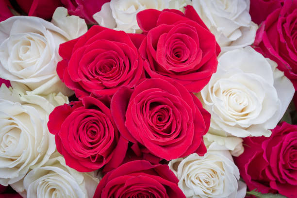 istock Multi-colored bouquet of red, pink and white roses 1224035018