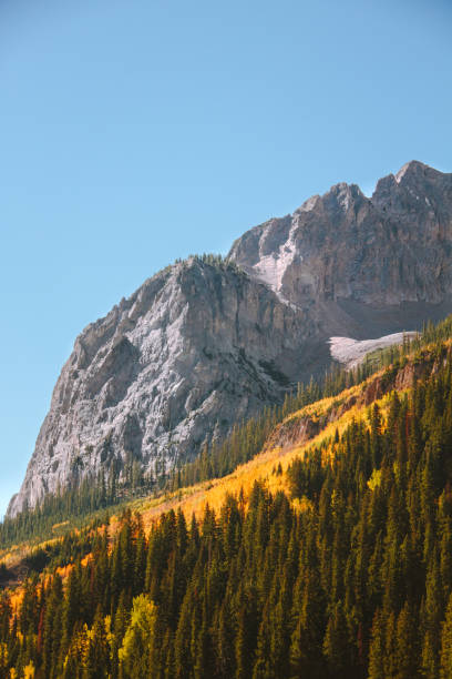 istock Autumn in Colorado 1224037250