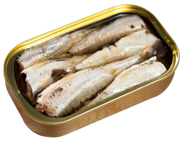 istock Canned sardines in oil 1224040723