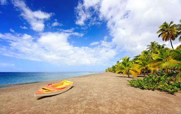 Grande Anse Le Coin Beach, Le Carbet, Martinique, Caribbean stock photo