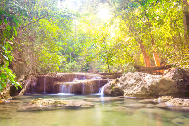 cascades de chute d’eau tropicale dans la forêt sauvage de jungle - erawan national park beauty in nature waterfall photos et images de collection