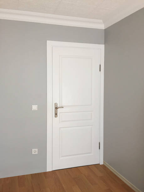 istock Domestic room door 1224041741