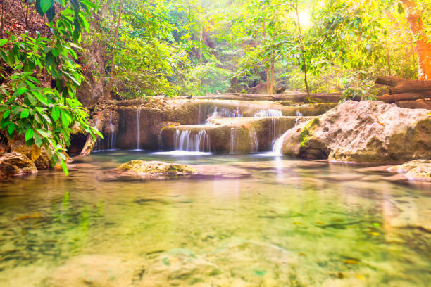 cascades of tropical waterfall in wild jungle forest - erawan falls fotos imagens e fotografias de stock