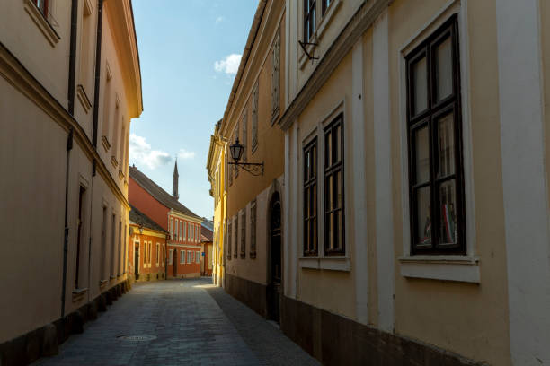 istock Empty street in Eger, Hungary 1224044847