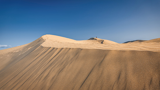 Panorama of the Sand Dunes of Maspalomas at Playa de Ingles Beach under blue cloudless summer sky. Young boy running up the sand dunes on the horizon. Maspalomas Dunes, Grand Canary, Canary Islands, Spain