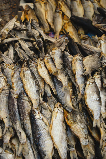 istock pile of dry fish 1224048815