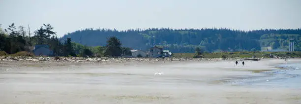 Beachgoers during low tide at Deception Pass state park, Washington