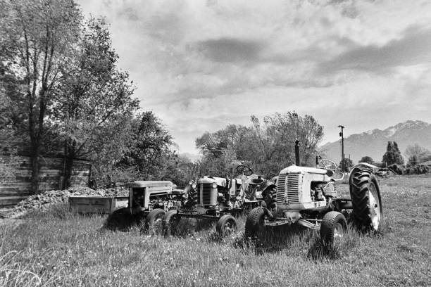 A black and white photograph of a very old tractor against a white background.