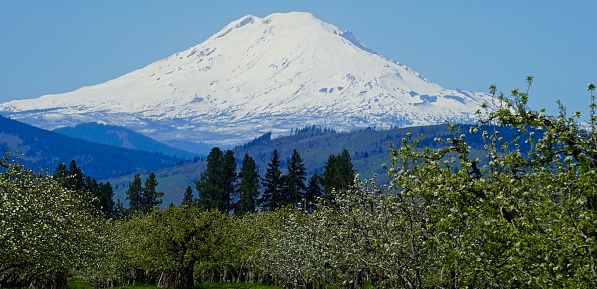 Southern Washington's Cascade Range.\nFrom Oregon's Hood River Valley.\nMt. Adams Looking Large.