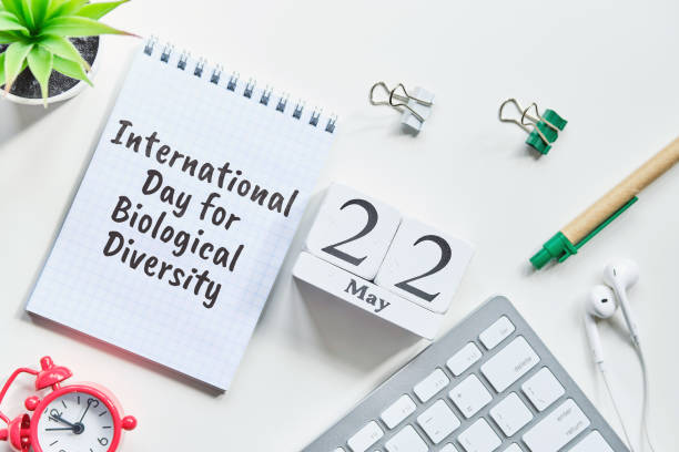 istock 22 twenty second International Day for Biological Diversity May Month Calendar Concept on Wooden Blocks. 1224057311