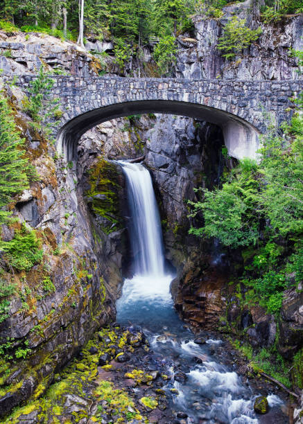 istock Christine Falls at Mount Rainier National Park 1224058366
