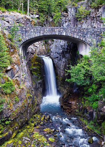 Summer Mount Rainier National Park