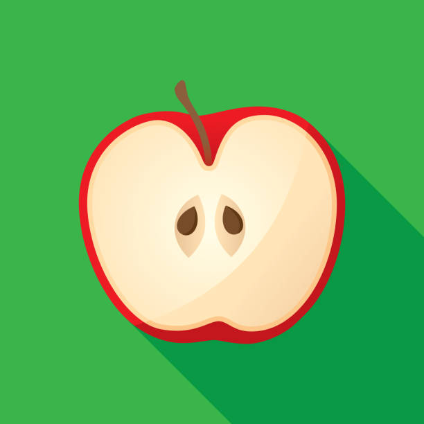 apple cut w połowie ikona płaska 2 - red delicious apple illustrations stock illustrations