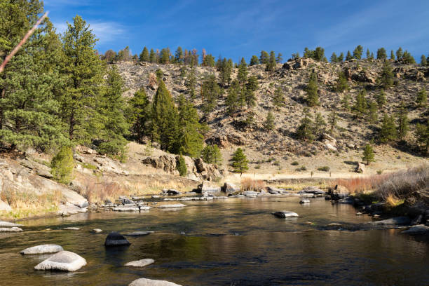 istock Springtime in Eleven Mile Canyon 1224061280