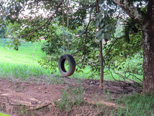 istock Improvised children's swing with old tire. 1224063241