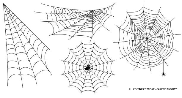 set of spider web or spider home insect or small spider in the web concept set of spider web or spider home insect or small spider in the web concept. 

editable stroke - eps 10 vector, easy to modify cutter insect repellant stock illustrations
