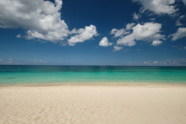 águas cristalinas e areias rosadas em praia vazia de sete milhas na ilha tropical caribenea grand cayman - kerith - fotografias e filmes do acervo