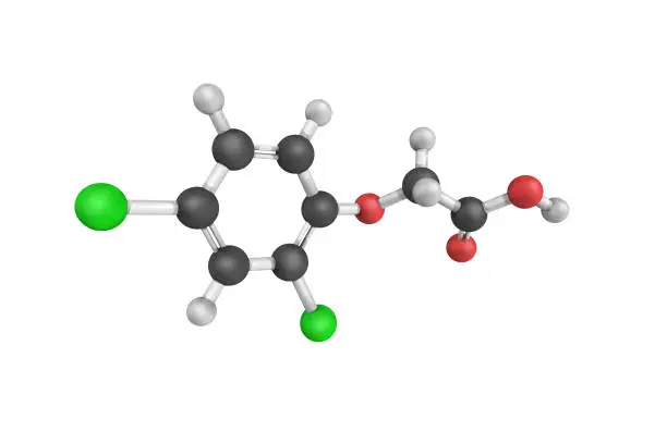 3d structure of 2,4-Dichlorophenoxyacetic acid (usually called 2,4-D), an organic compound which is a systemic herbicide that selectively kills most broadleaf weeds.