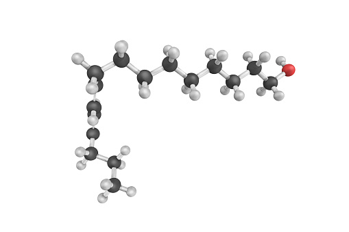 3d structure of bombykol, a pheromone released by the female silkworm moth to attract mates. The first pheromone to be characterized chemically.