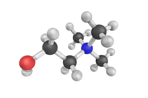 Molecule with biological and chemical concept, 3d rendering. 3D illustration.