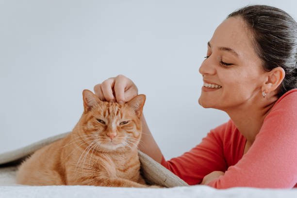 istock Woman cuddling and playing with cat 1224068400