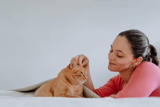 istock Woman cuddling and playing with cat 1224068403