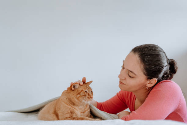 istock Woman cuddling and playing with cat 1224068423