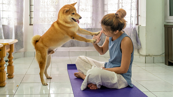 Side view of an Asian woman giving high five to her pet dog at home. She sitting at the yoga mat. Healthy lifestyle concept.