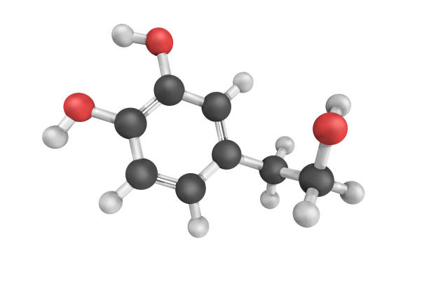 istock 3d structure of Hydroxytyrosol, a type of phenolic phytochemical with antioxidant properties in vitro. Found in olive leaf and olive oil 1224070654