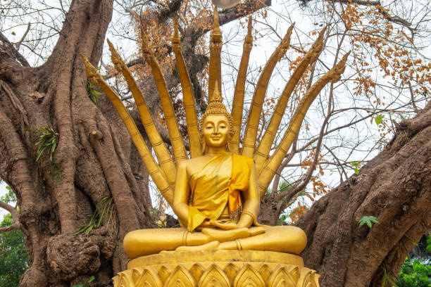 Free Stock Photo of Buddha Statue Standing in Front of Trees | Download ...