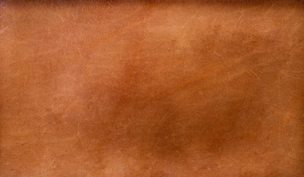 istock Close up brown leather wallet on wood texture. 1224078305