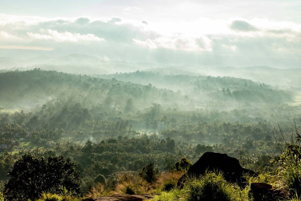 mountain layers covered with white mist at dawn image taken at south india. it is showing the beautiful art done by nature at sunrise.