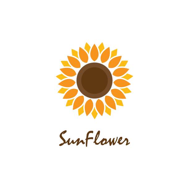 konstrukcja wektora słonecznika - sunflower nature environment environmental conservation stock illustrations