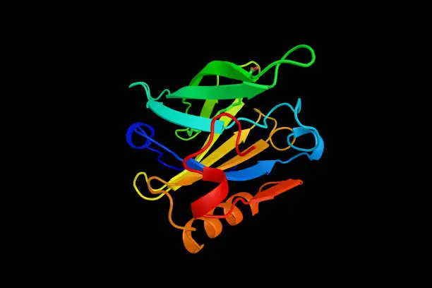 Beta-Lactoglobulin (3d structure), the major whey protein of cow and sheep's milk, also present in many other mammalian species; a notable exception being humans.