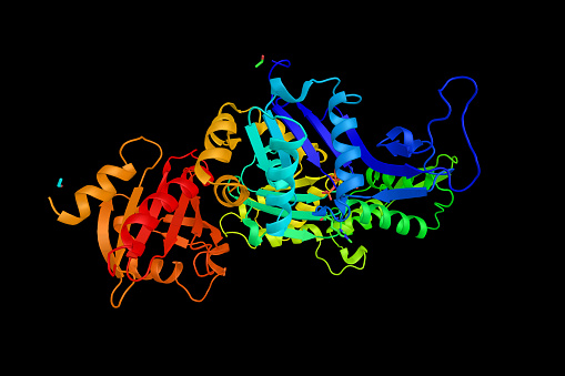 Perfilin-beta-actina bovina, estructura 3d. Actin es una familia de proteínas multifuncionales globulares que forman microfilamentos photo