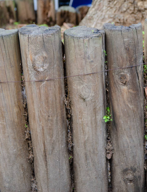 istock Natural Style Wood Texture, Old 1224084396