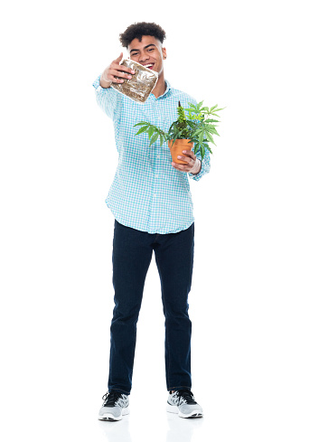 Full length of aged 18-19 years old with curly hair african ethnicity teenage boys standing in front of white background wearing button down shirt who is showing cool attitude and holding cannabis plant