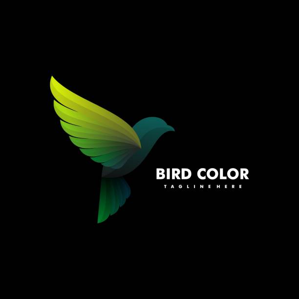 ilustrações de stock, clip art, desenhos animados e ícones de vector illustration bird gradient colorful style. - flying animal bird multi colored