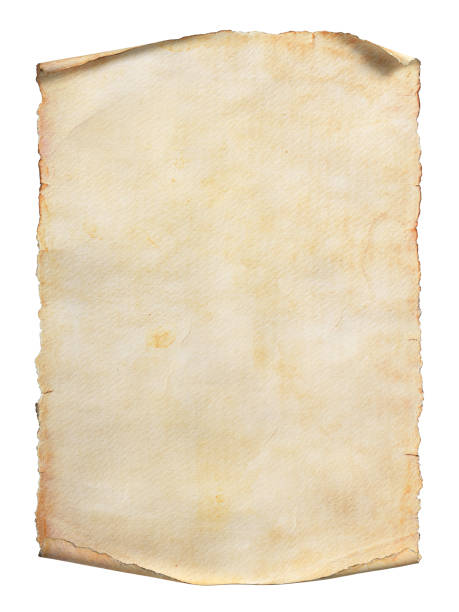 старый бумажный свиток или пергамент изолированы на белом фоне. путь отсечения включен. - scroll parchment paper old стоковые фото и изображения