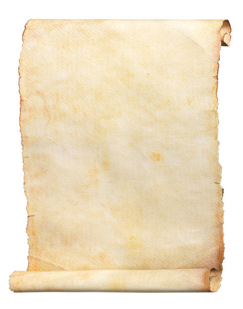 vecchio rotolo di carta isolato su uno sfondo bianco. percorso di ritaglio incluso. - parchment scroll paper document foto e immagini stock