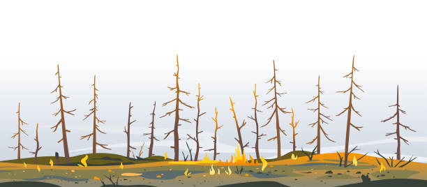 drzewa po pożarze lasu ilustracja przyrody - wildfire smoke stock illustrations