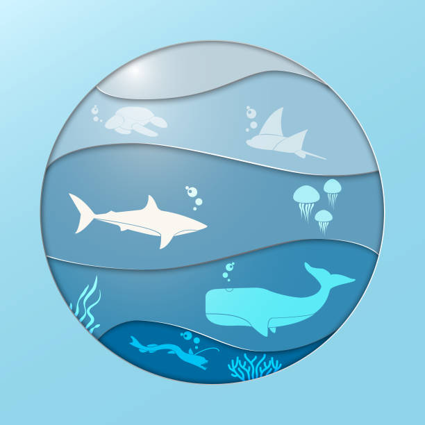 World Ocean Day Vector Illsustration of ocean  with turtle, sting ray, shark, jelly fish, sperm whale, and viper fish. Suitable for world ocean day viperfish stock illustrations