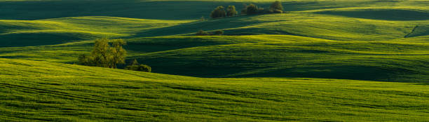 istock panorama of beautiful spring fields on the rolling hills 1224092565