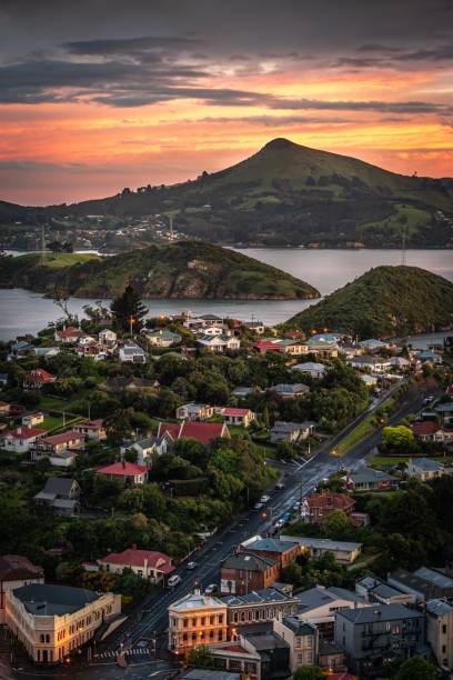 Sunset over Harbour Cone (Hereweka), and Port Chalmers, Dunedin, New Zealand Sunset over Harbour Cone (Hereweka), and Port Chalmers, Dunedin, New Zealand dunedin new zealand stock pictures, royalty-free photos & images